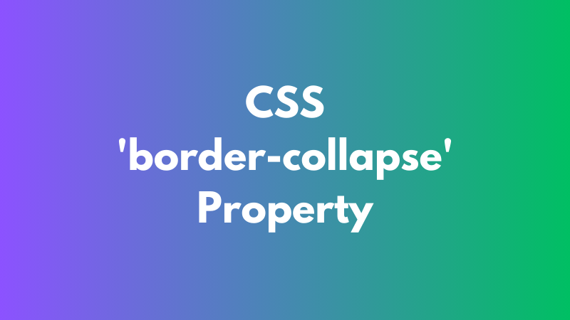 CSS ‘border-collapse’ Property Explained