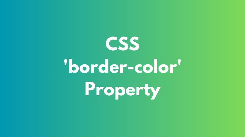 CSS ‘border-color’ Property Explained